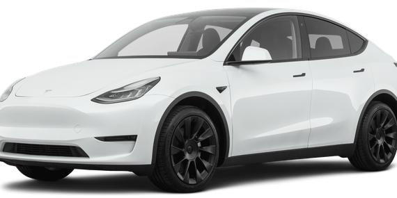 TESLA MODEL Y 2020 5YJYGDEE5LF029770 image